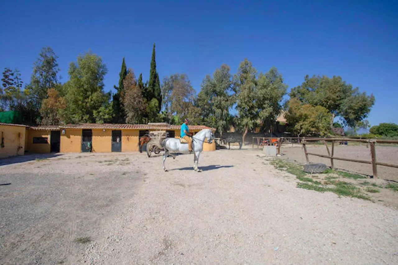 בית כפרי Bungalows-Casas Rurales Da Luigi-4 Adultos-2 Dormitorios-Piscina-Ideal Familias-Cartama-Malaga