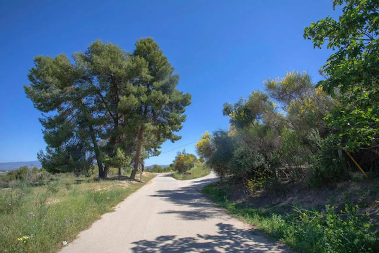 Casas Rurales Da Luigi: Rural Cabins with Pool and Horseback Riding Cartama 0*,