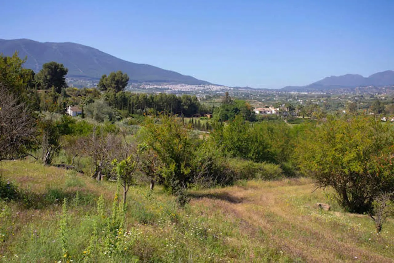 Country house Casas Rurales Da Luigi: Rural Cabins with Pool and Horseback Riding Cartama