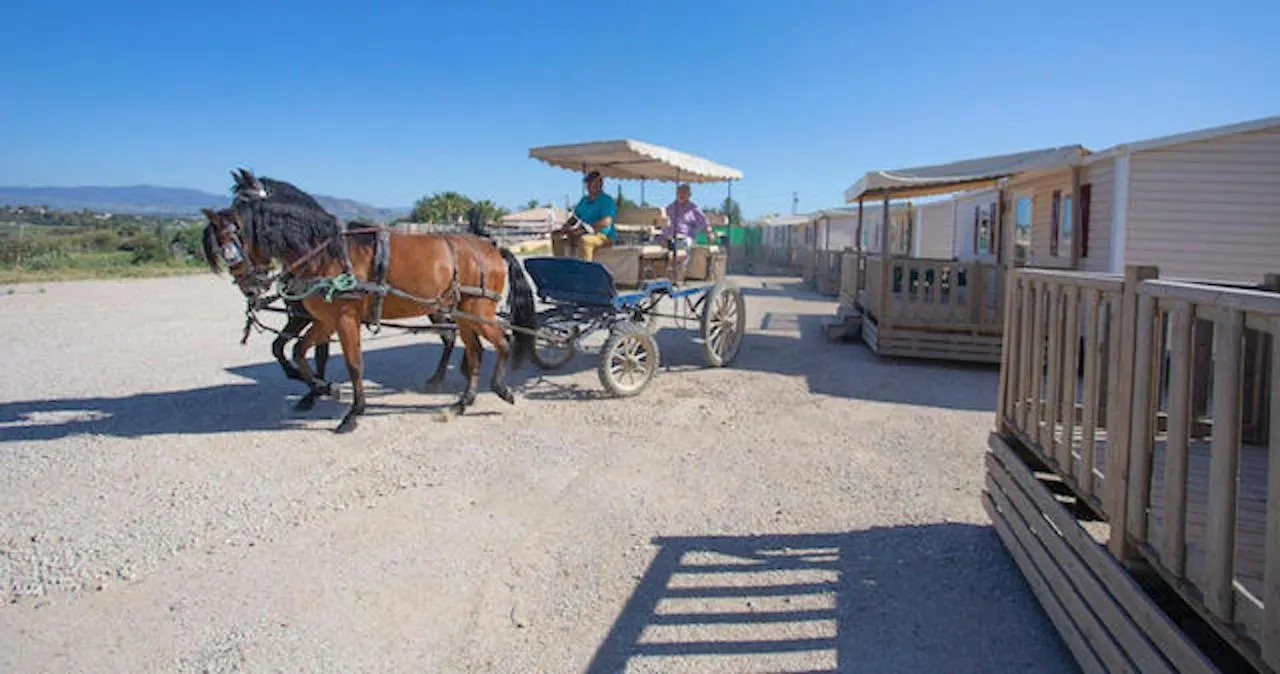 Bungalows-Casas Rurales Da Luigi-4 Adultos-2 Dormitorios-Piscina-Ideal Familias-Cartama-Malaga 0*,